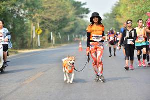 BIB: 
                            <button type="button" onclick="openModal(10196301)" class="btn btn-primary btn-sm float-right btn-popup" data-toggle="modal" data-target=".modal-high-quality">
                        <i class="fas fa-shopping-cart"></i> Add to Cart
                    </button>
                                            <button type="button" onclick="isThisMe(10196301, true)" class="btn btn-success btn-sm float-right btn-popup btn-isme hidden" data-toggle="tooltip" data-placement="bottom" title="นี่คือรูปของคุณใช่ไหม คลิกที่นี่เพื่อเอาเข้าอัลบั้ม">
                        <i class="fas fa-plus"></i> Add to album
                    </button>
                    <button type="button" onclick="isThisMe(10196301, false)" class="btn btn-warning btn-sm float-right btn-popup btn-isnotme hidden">
                        <i class="fas fa-ban"></i> Remove from album
                    </button>